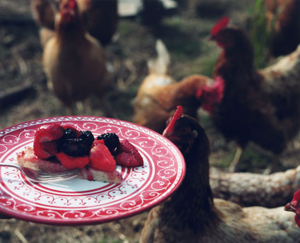 Picnic