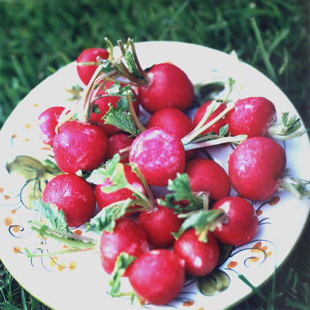 Picnic